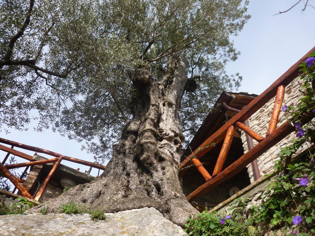 Bed and Breakfast Rocca Del Vento San Pantaleone Экстерьер фото