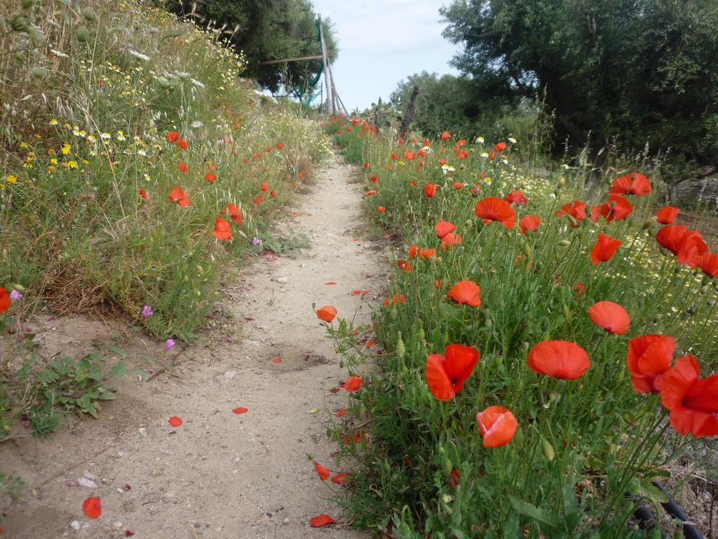 Bed and Breakfast Rocca Del Vento San Pantaleone Экстерьер фото