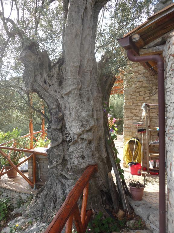 Bed and Breakfast Rocca Del Vento San Pantaleone Экстерьер фото